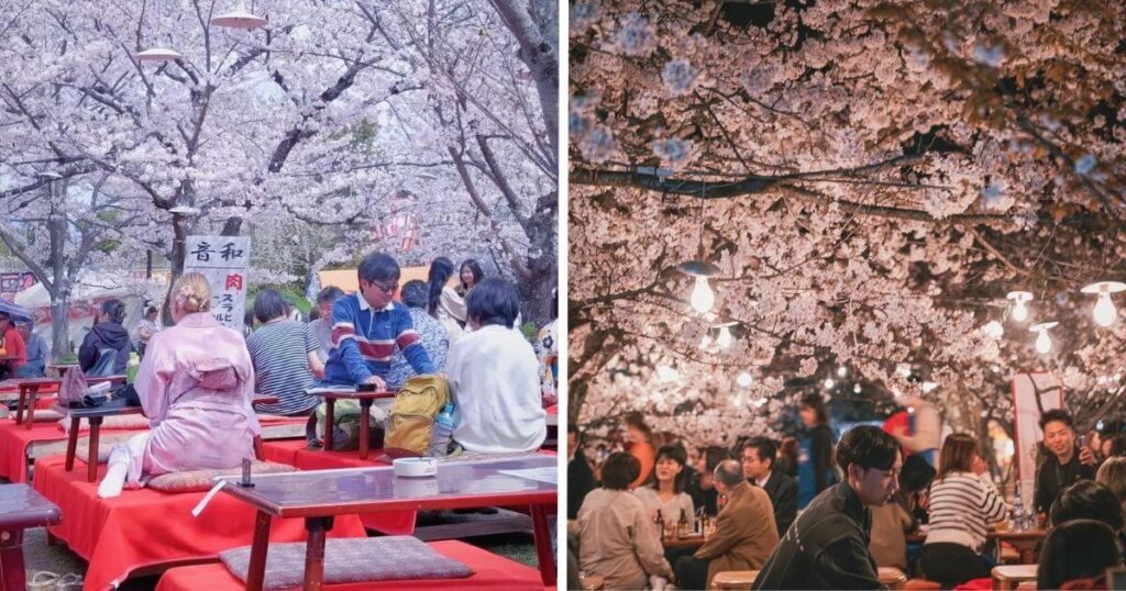 圓山公園花見野餐氛圍