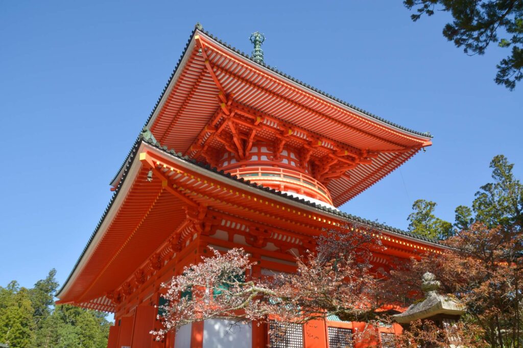 仰望根本大塔