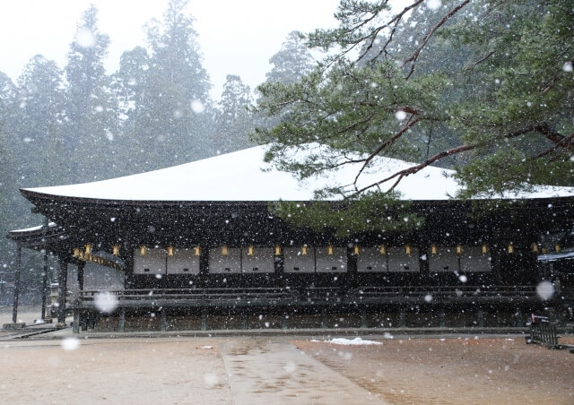 高野山壇上伽藍寺廟屋頂覆蓋白雪，白雪紛飛的畫面
