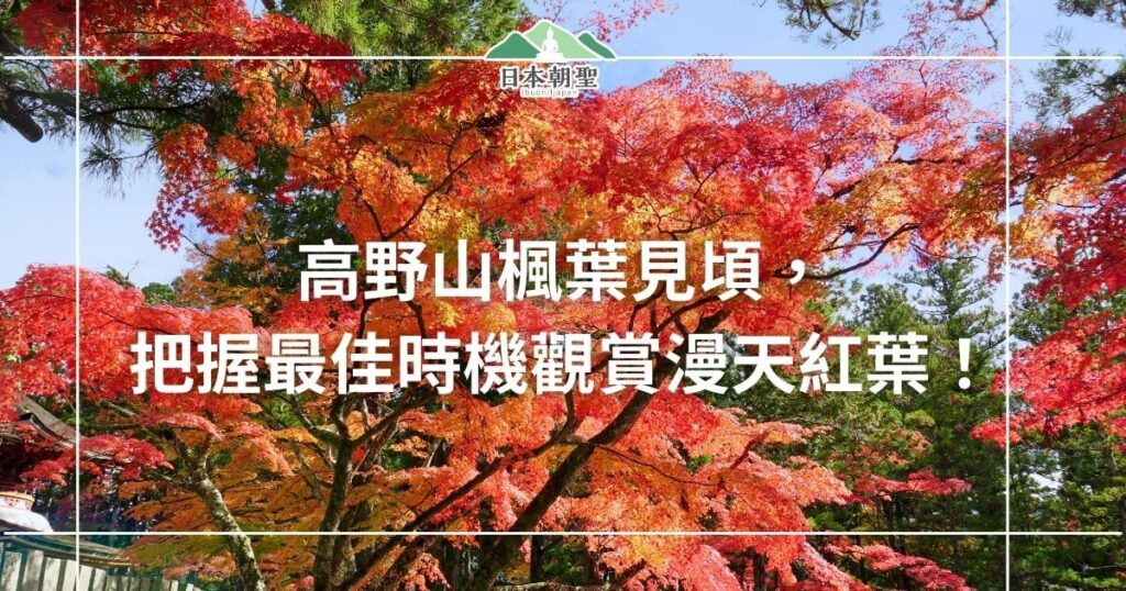 文字為「高野山楓葉見頃，把握最佳時機觀賞漫天紅葉」背景為高野山楓葉