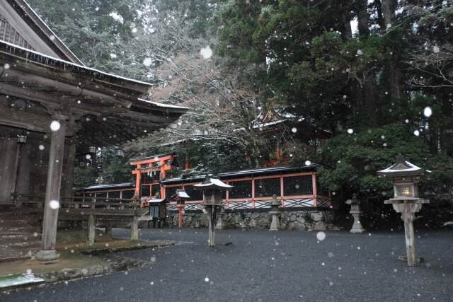 壇上伽藍雪季白雪紛飛的景觀