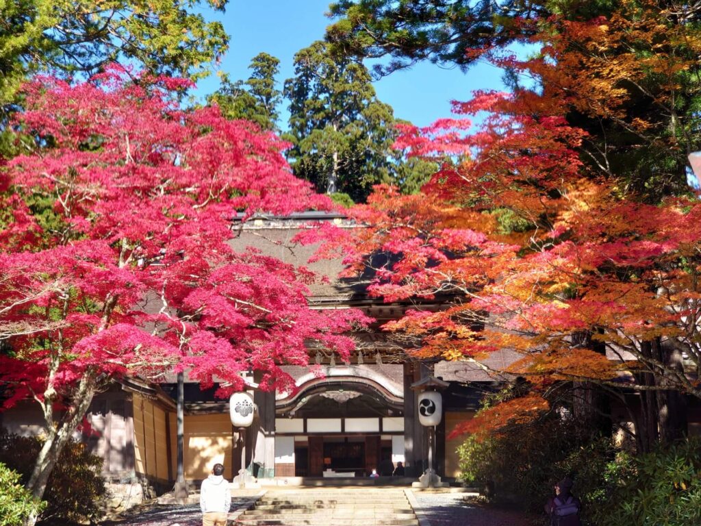 金剛峯寺的楓紅景觀