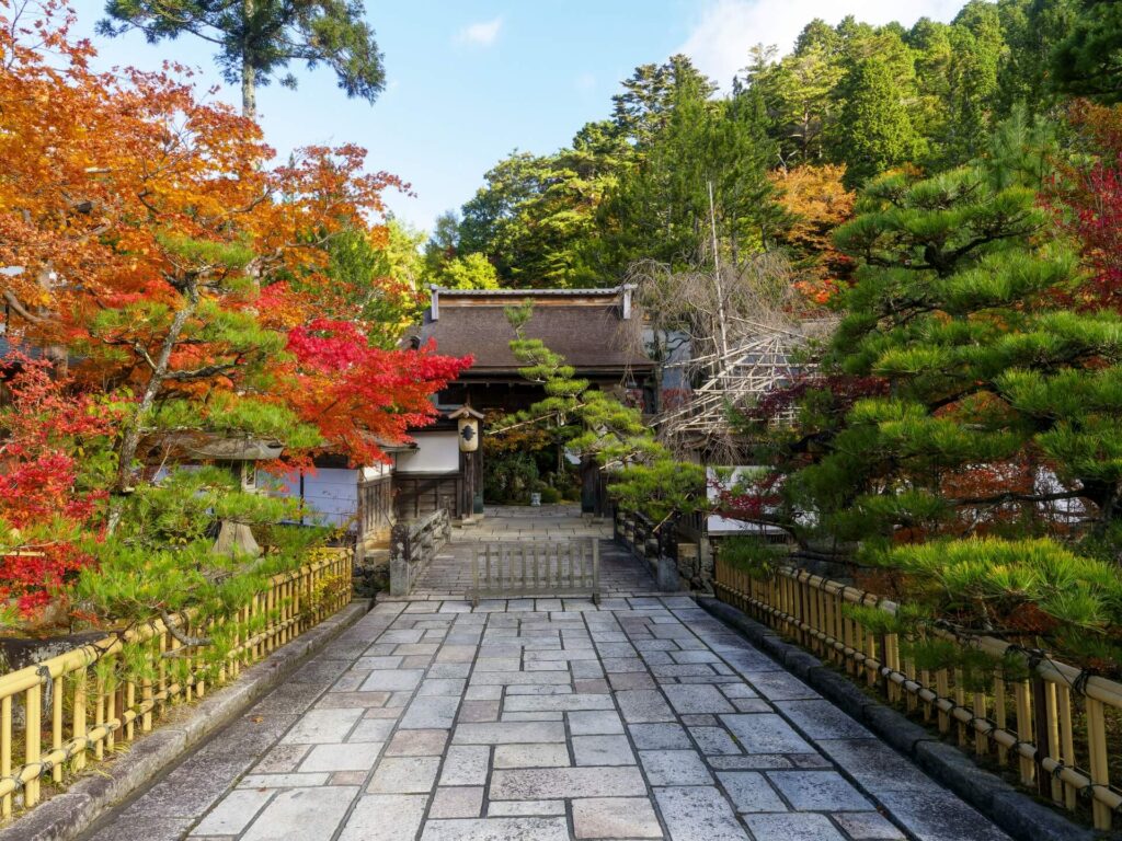 高野山楓葉景觀