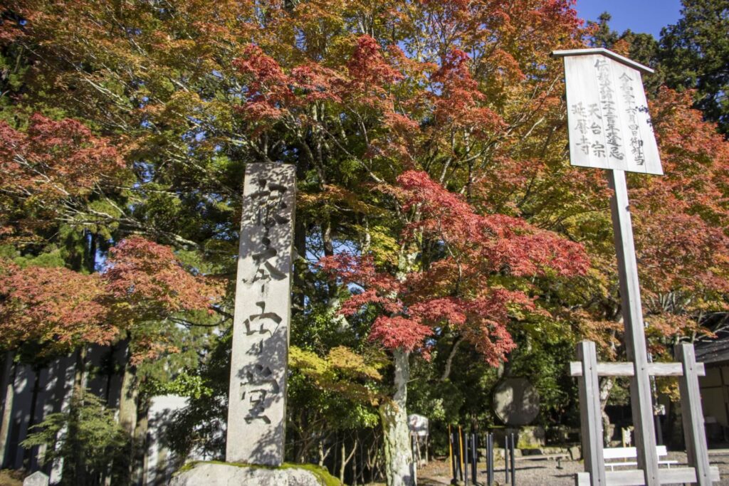 根本中堂與楓紅照片