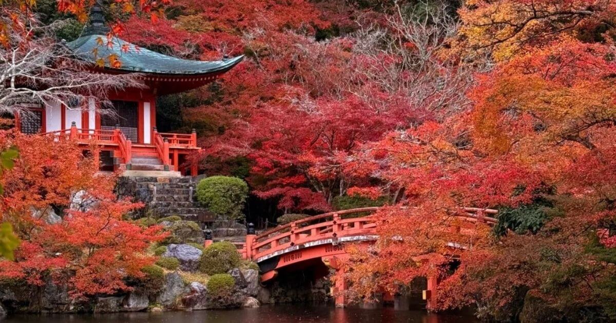 京都醍醐寺
