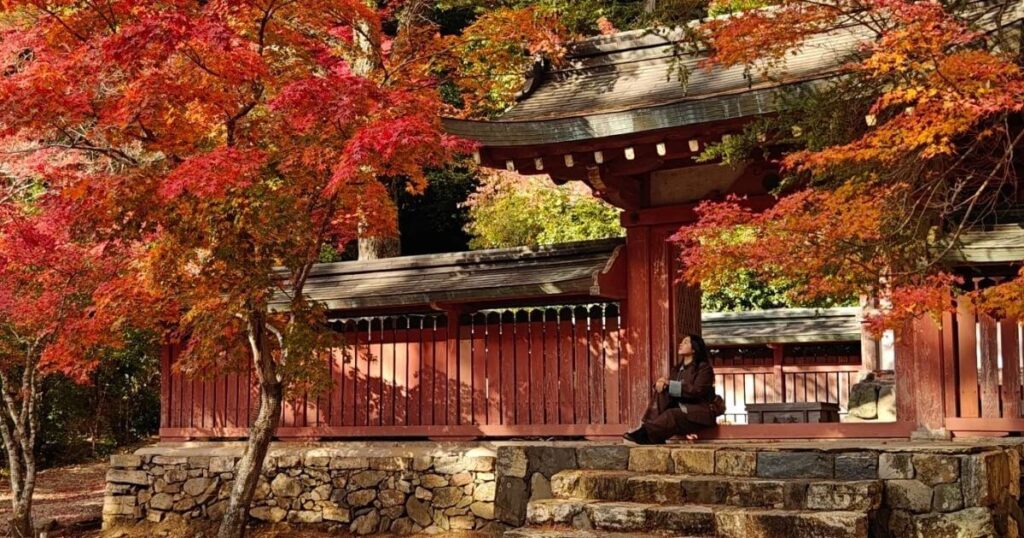 京都神護寺秋季楓紅與山門靜景