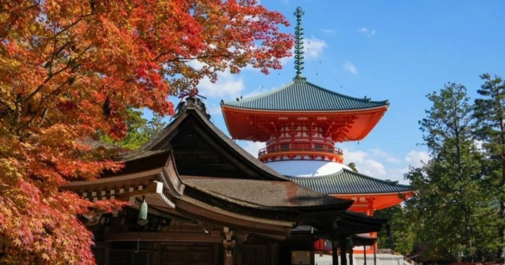 高野山根本大塔與前方紅葉交織的寺院屋簷