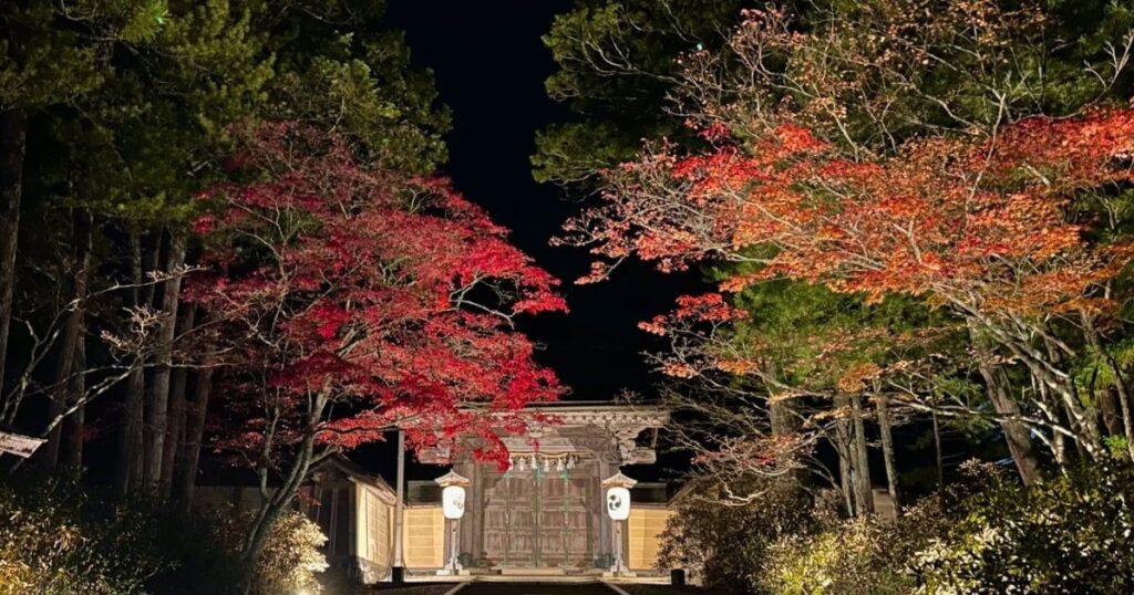 夜晚燈光照耀下的高野山金剛峯寺，兩側楓葉轉紅，營造出秋日寧靜氛圍