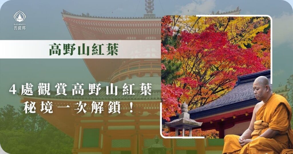 高野山紅葉景點推薦|4處賞楓秘境一次解鎖