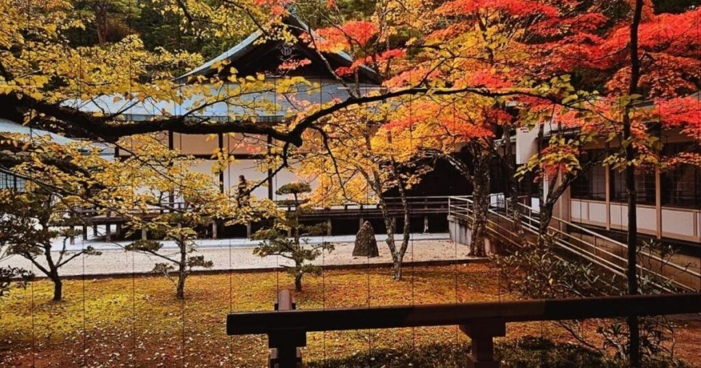 高野山奧之院庭園中，紅黃交織的楓葉覆蓋寺院建築前方
