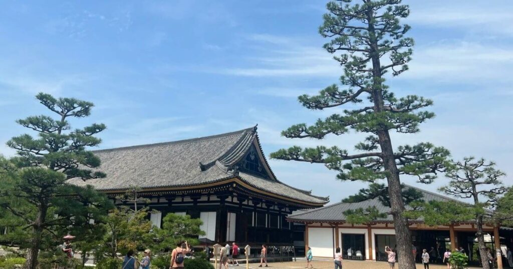 京都三十三間堂的外觀與松樹庭園景致