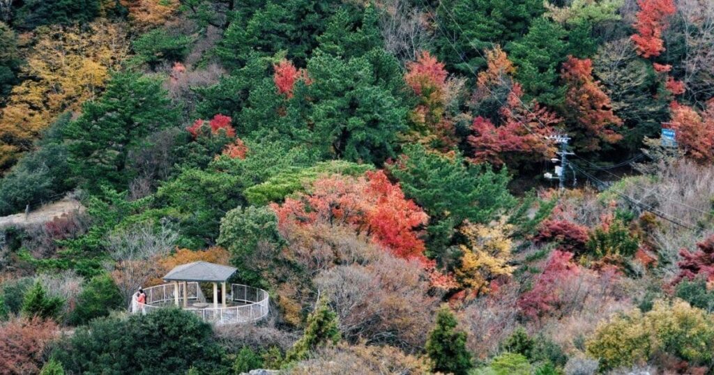 寒霞溪紅葉 日本三大溪谷之一