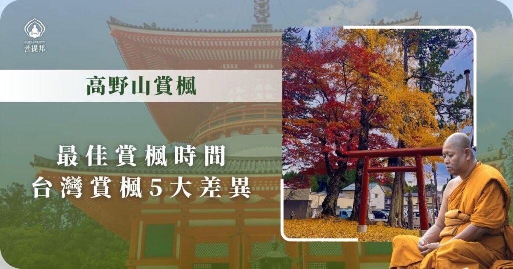 高野山賞楓最佳時機與台灣賞楓差異