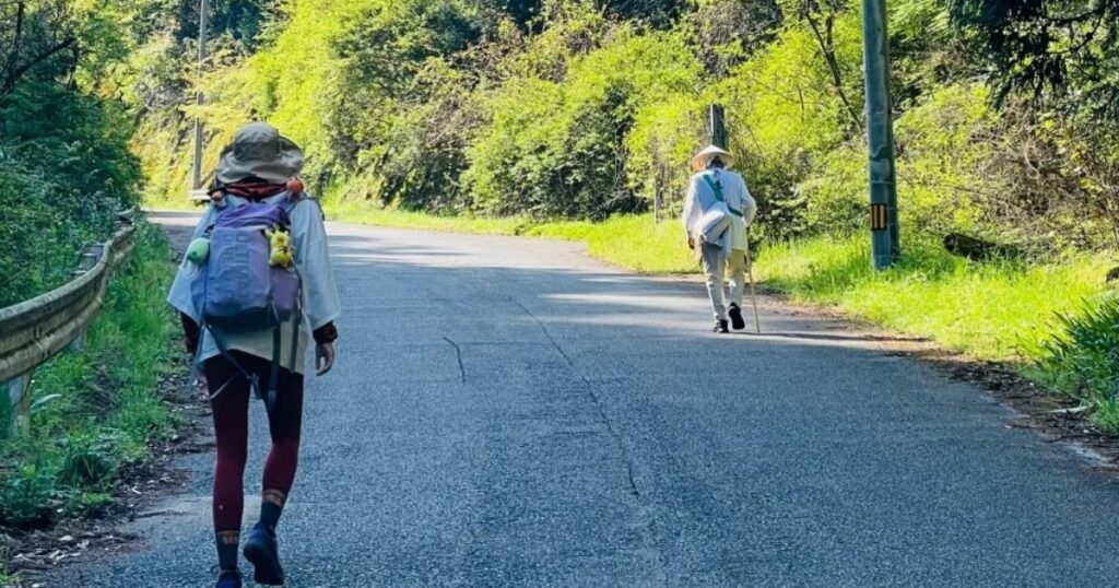 夏季四國遍路朝聖者行走在鄉間道路，背著背包與朝聖杖，沿途被綠意環繞