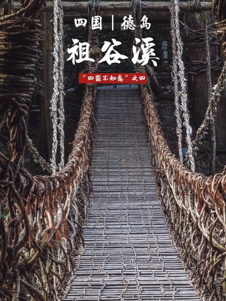 四國祖谷溪藤蔓橋