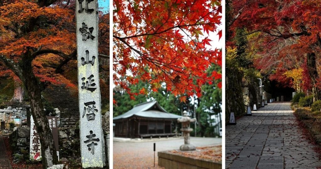 比叡山秋季紅葉美景