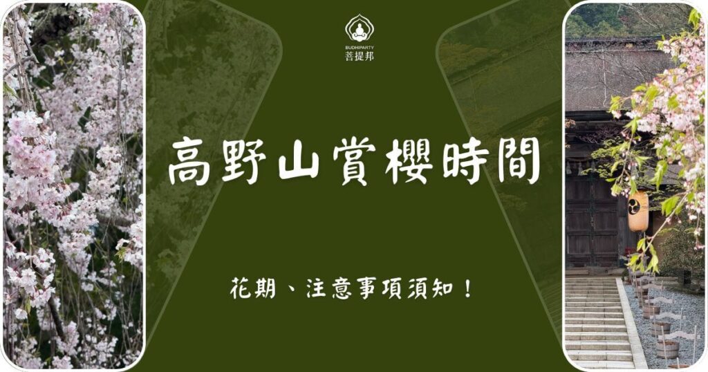 高野山賞櫻時間