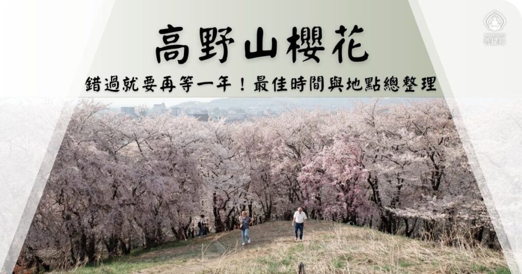 高野山櫻花最佳觀賞指南