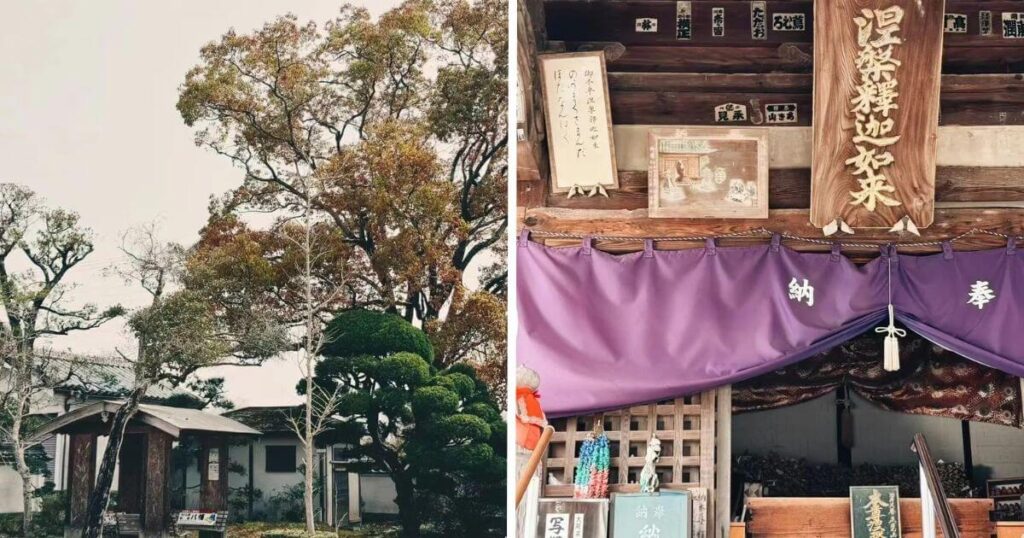 四國遍路法輪寺境內與本堂景觀