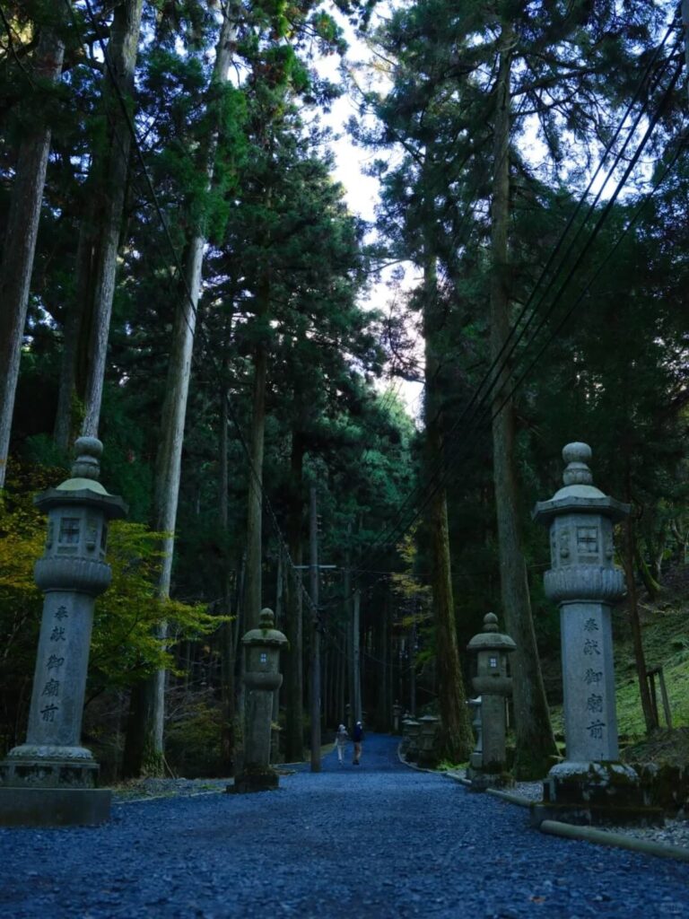 比叡山西塔參道杉林小徑