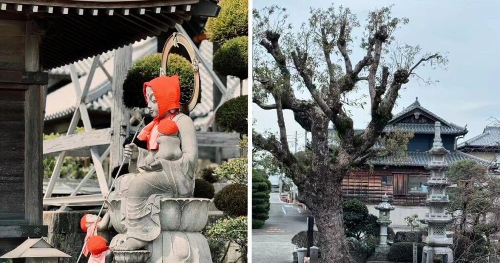 井戶寺地藏尊與寺院環境細部