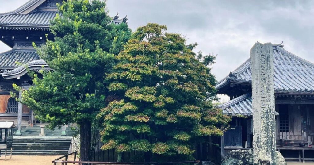 四國遍路國分寺寺院主殿與石碑