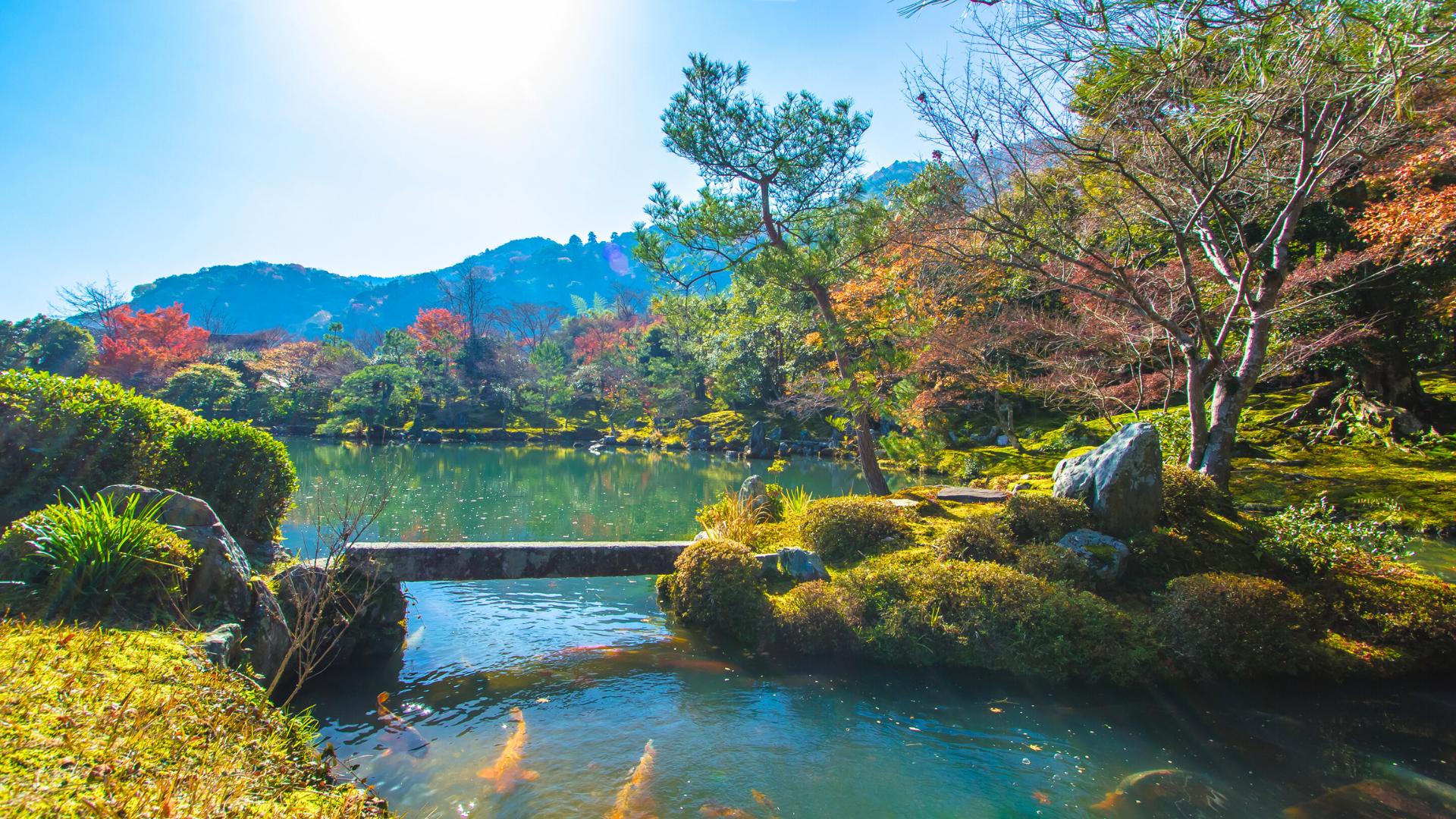 京都嵐山庭園與錦鯉池