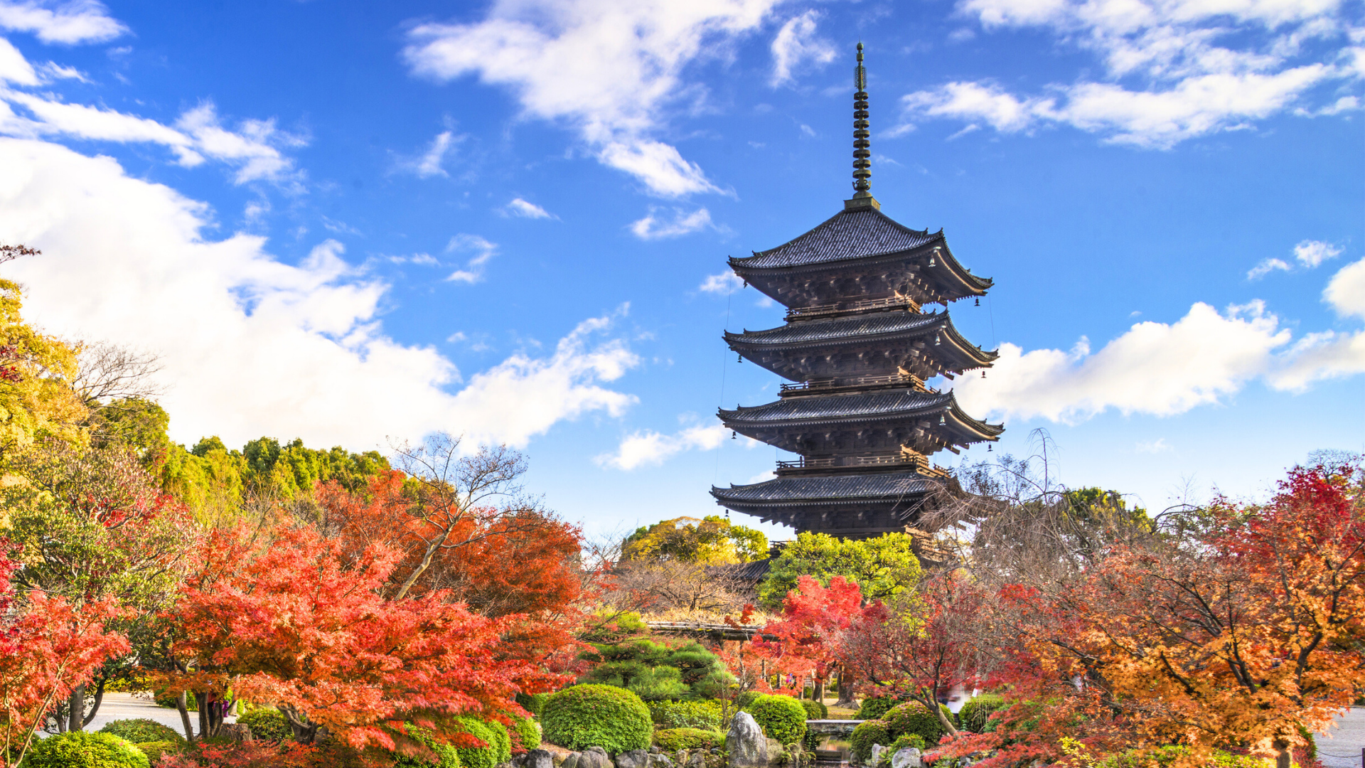 東寺五重塔與秋色